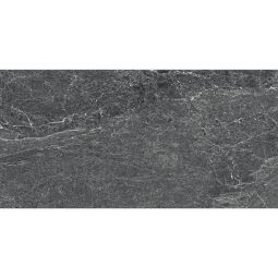 Advantage - Porcelain Graphite Matte 24x 48