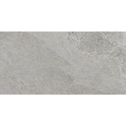 Advantage - Porcelain Silver Matte 24x 48