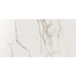 Anima - Porcelain Calacatta Matte 12x 24