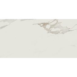 Anima - Porcelain Calacatta Matte 24x 48