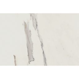 Anima - Porcelain Calacatta Polished 24 X 48