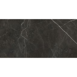 Anima - Porcelain Graphite Matte 12 X 24