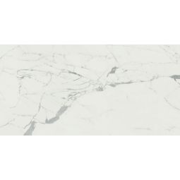 Anima - Porcelain Matte 12x 24