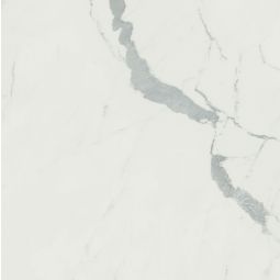 Anima - Porcelain Matte 24x 24