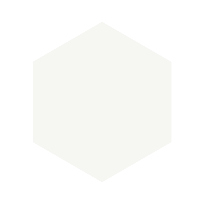 APINI - White