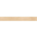 Arenosa - Porcelain Beige Matte 2 X 18