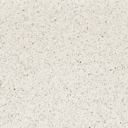Autore - Porcelain Matte 24x 24