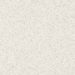 Autore - Porcelain Matte 24x 24