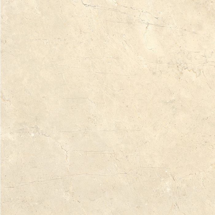 CALCIS - Avorio