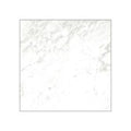 Classica - Porcelain  12 X 12