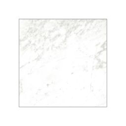 Classica - Porcelain  12 X 12