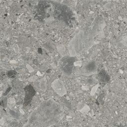 Ceppo - Porcelain Grey Matte 24x 24