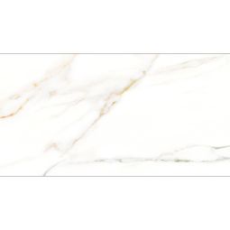 Cava - Porcelain Polished 24x 48