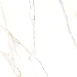 Cava - Porcelain Satin 24x 24
