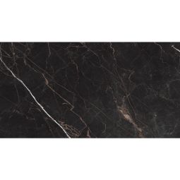 Cava - Porcelain Polished 24x 48