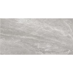 Denmark - Porcelain Grey Polished 24x 48