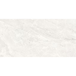 Denmark - Porcelain Grey Honed 24x 48