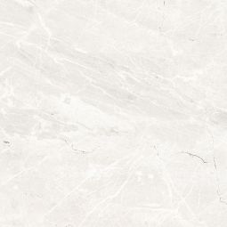 Denmark - Porcelain Grey Polished 24x 24