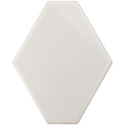 Elong - Porcelain Gloss 4x 6