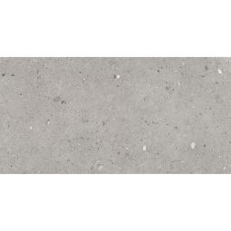 Ego - Porcelain  24x 48