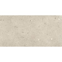 Ego - Porcelain  24x 48