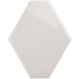 Elong - Porcelain Gloss 4x 6