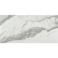 ETERNA - Calacatta Grey