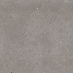 Fjord - Porcelain Grey Matte 24x 24