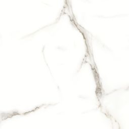 Mayfair - Porcelain Calacatta Polished 24x 24