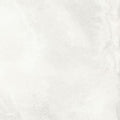 Marmi Imperiali - Porcelain  24x 24