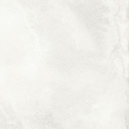 Marmi Imperiali - Porcelain  24x 24