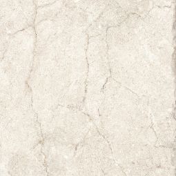 Marmi Imperiali - Porcelain  24x 24