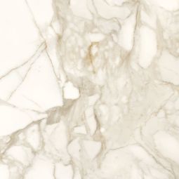 Marble Lab - Marble Calacatta Matte 24x 24