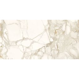 Marble Lab - Marble Calacatta Matte 24x 48