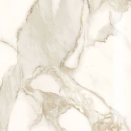 Marble Lab - Marble Calacatta Polished 24x 24