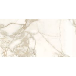 Marble Lab - Marble Calacatta Polished 24x 48