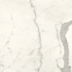 Marble Lab - Marble Polished 24x 24