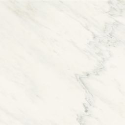 Marble Lab - Marble White Polished 24x 24