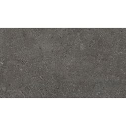 Mapierre - Porcelain  24x 48