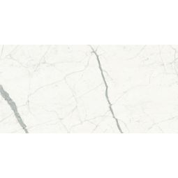 Max Marmi - Porcelain Calacatta  59x 118