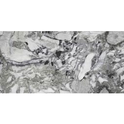 Max Marmi - Porcelain Grey Polished 59x 118