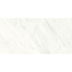Max Marmi - Porcelain White  59x 118