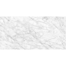 Plata - Porcelain  12x 24