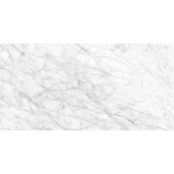 Plata - Porcelain  12x 24