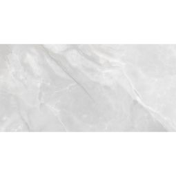 Plata - Porcelain Polished 12x 24