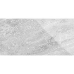 Plata - Porcelain  12x 24