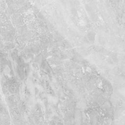 Plata - Porcelain  24x 24