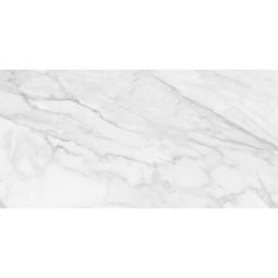 Plata - Porcelain  12x 24