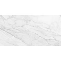 Plata - Porcelain  12x 24