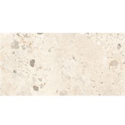 Rockies - Porcelain Beige Matte 12x 24